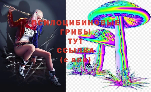 a pvp Верея