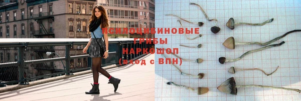 хмурый Волосово